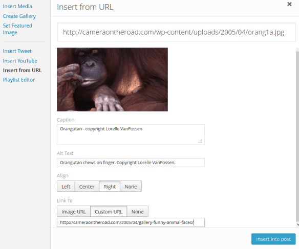 WordPress example of how to link to an external image and add caption and link to original source.
