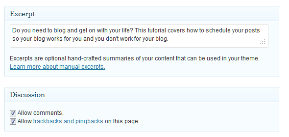 WordPress Custom Excerpt shown on post panel.