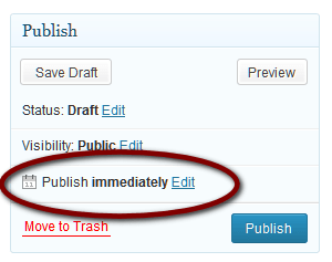 Example of the Publish Immediate, future or schedule post feature of WordPress.
