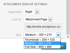 WordPress Media Uploader example of choosing the image size for displaying in the post or Page.